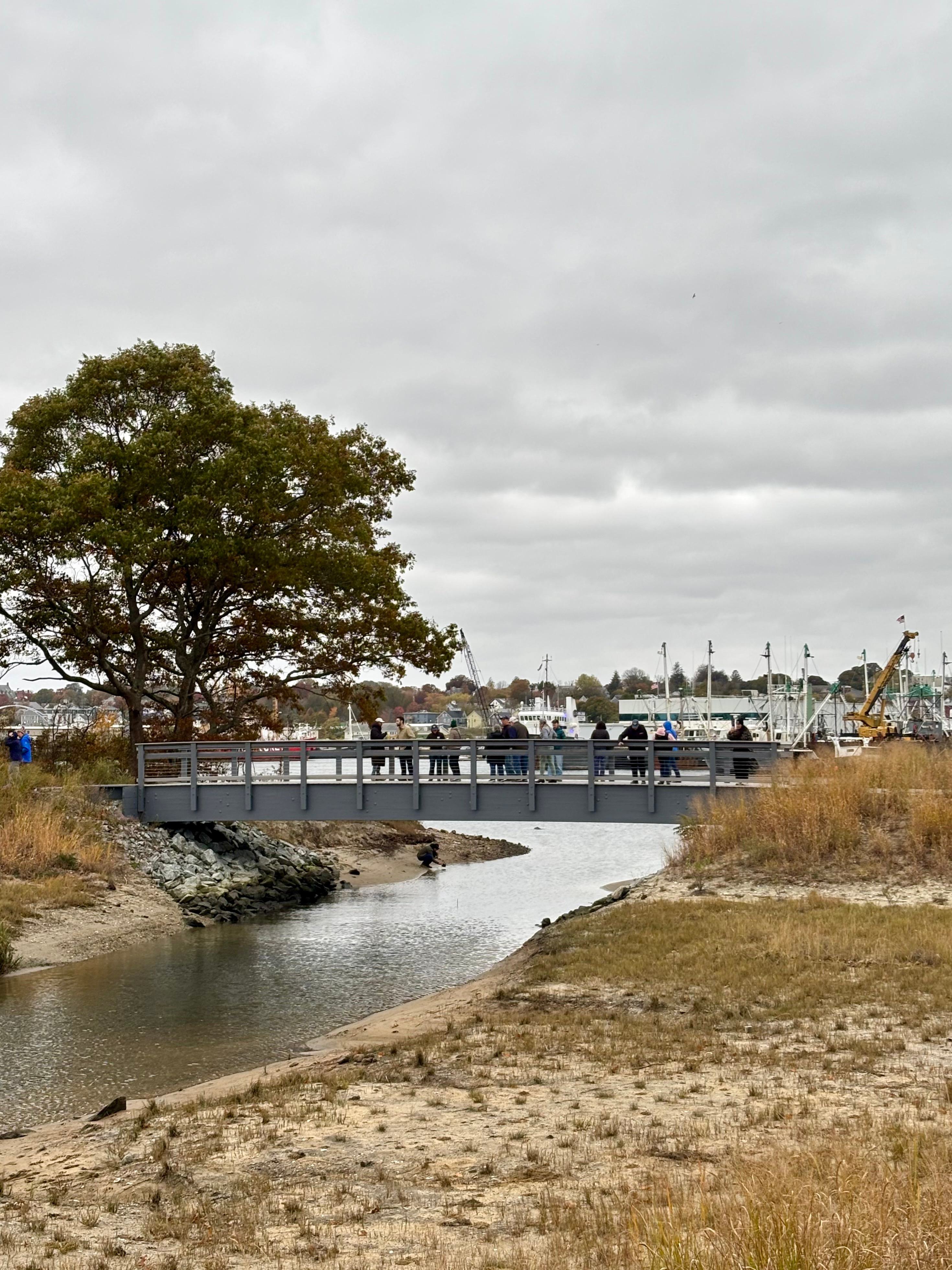 Marsh Re Marsh Island Re-Opens for All to Enjoy | Buzzards Bay Coalition