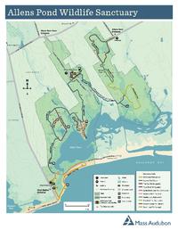 Allens Pond trails color