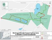 Breivogel Ponds