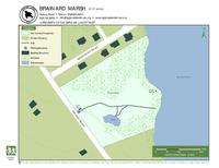 Map brainard marsh