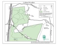 Map collins woodlot
