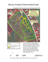 Map savery avenue conservation area