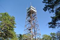 Places to go collins woodlot 1