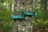 Places to go lionberger woods 3