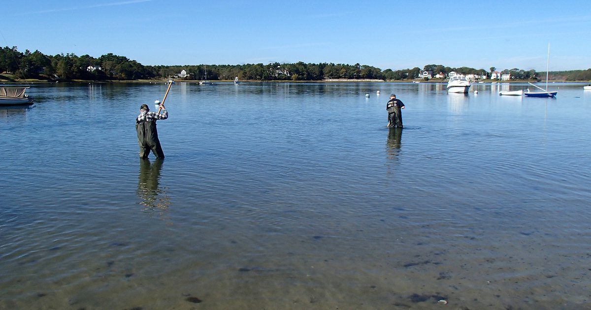Shell Point Bay Shell Point Beach | Buzzards Bay Coalition