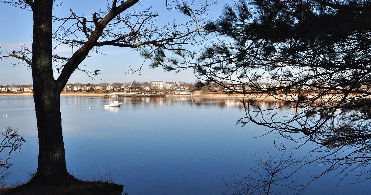 Wickets Island